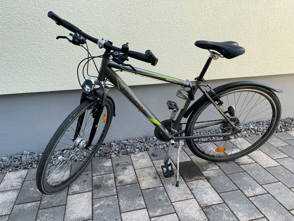 Herren Fahrrad PEGASUS Cross-Street Avanti Sp 28 Zoll in Rottenburg am Neckar