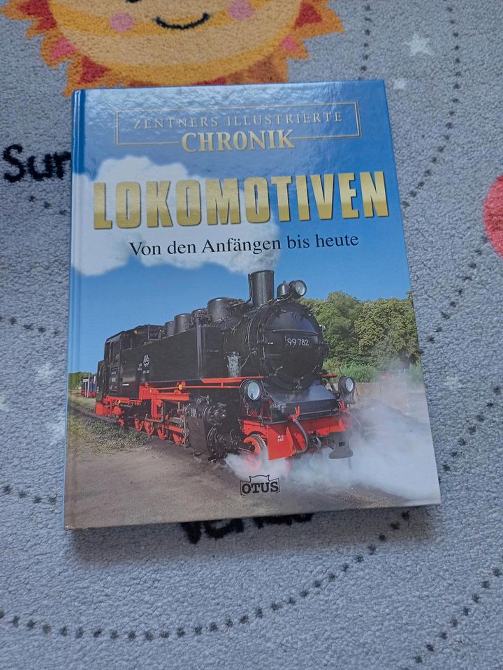 Buch Lokomotiven Zug Eisenbahn Geschichte Anfänge bis heute in Pattensen