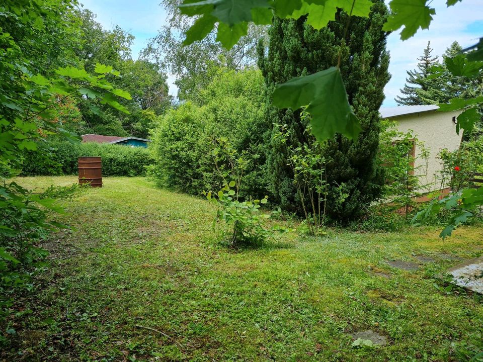 Wochenendgrundstück mit Bungalow, Privatgarten, Eigentumsgarten in Freyburg (Unstrut)