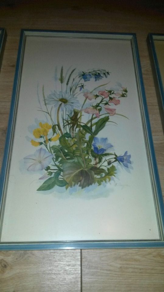 4 Kunstdrucke Blumenmotive in rahmen, Maße ca. 27 cm x 47 cm in Paderborn