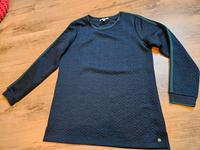 Pullover *neu* Niedersachsen - Meppen Vorschau