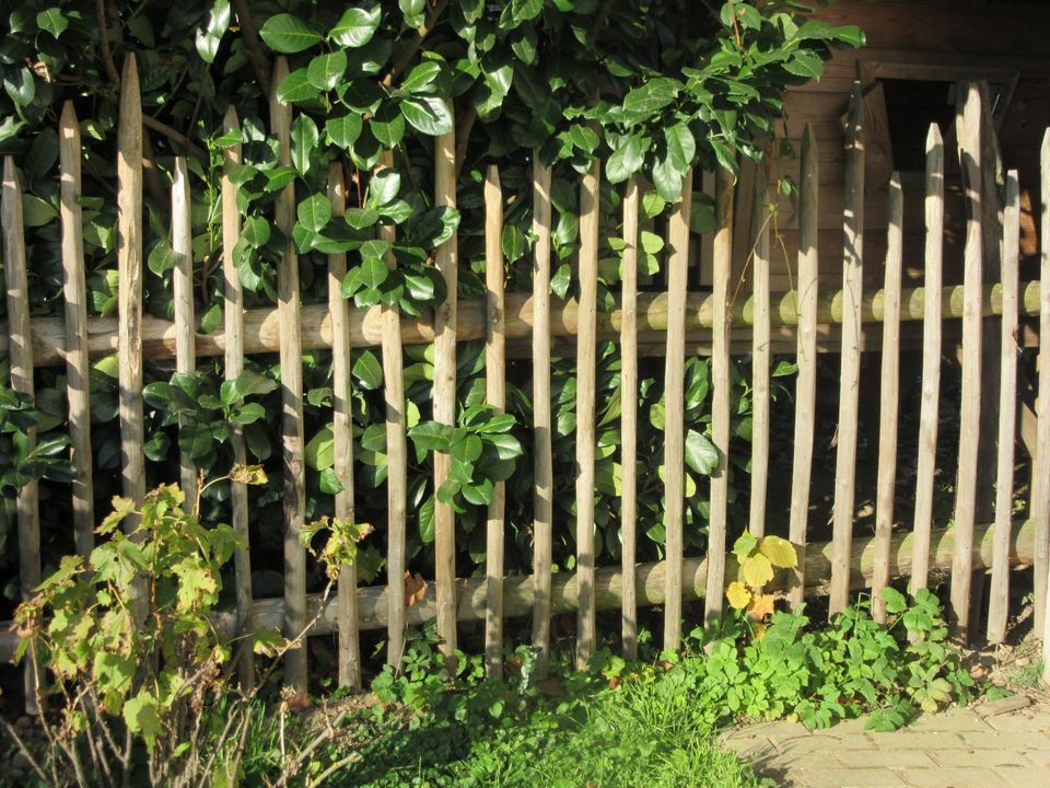 Hanikel Hanichel Kastanie Bauerngarten Gartenzaun Naturzaun in Schalkham