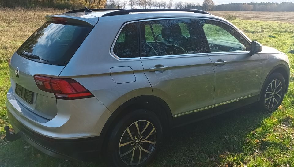 VW Tiguan 2.0tdi 4-motion DSG Panoramadach in Miele