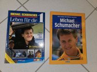 Bücher Michael Schumacher Motorsport, Preis pro Buch VB Saarland - St. Ingbert Vorschau