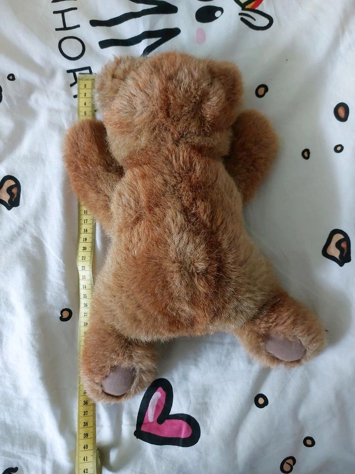 Steiff Teddy gr.ca 35cm Molly Teddy PA55 Mass 73 in Magdeburg