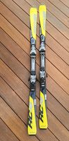 Ski Fischer RC4 170 cm Baden-Württemberg - Nagold Vorschau