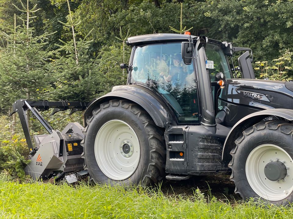 Forstmulcher, Stubbenfräse und Flächenräumung! in Marlow