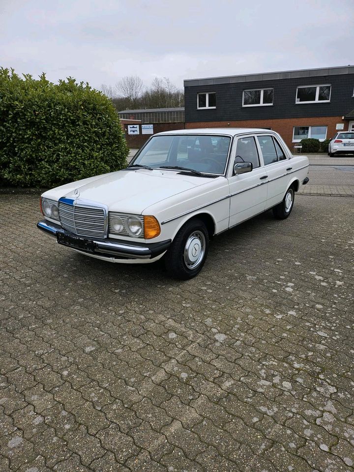 Mercedes-Benz 230 W123 in Moers