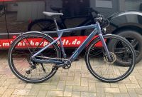 HoheAcht LUMO TERRA - TERENO| DIAMANT E-Bike Mahle X35+ Niedersachsen - Harpstedt Vorschau