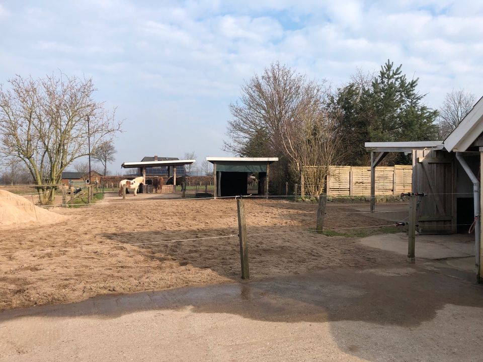 Offenstall-Platz mit Vollpension in Strenglin frei in Pronstorf