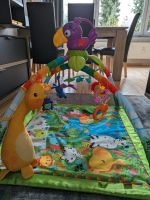 Fisher Price Erlebnissdecke Spielzeug Baby Ausstattung neuwertig Niedersachsen - Osnabrück Vorschau