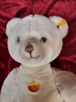 STEIFF Knopf im Ohr Teddy "Petsy" ca 45 cm cremefarben Nordrhein-Westfalen - Ennepetal Vorschau