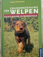 Grunderziehung für Welpen - Anton Fichtlmeier Hessen - Darmstadt Vorschau