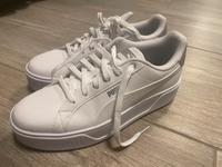 Puma Schuhe neu ungetragen Gr. 42 (Damen/Herren) Nordrhein-Westfalen - Eitorf Vorschau