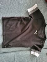 Puma, Sportshirt, Shirt, Funktionskleidung Rheinland-Pfalz - Budenheim Vorschau