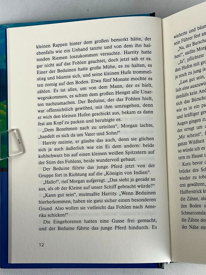 Buch – Blitz – Blitz schickt seinen Sohn – Band 3 – Walter Farley in Hamburg