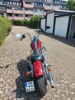Harley-Davidson XL1200C Nordrhein-Westfalen - Oberhausen Vorschau