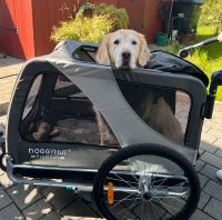 Doggyhut Premium XL Fahrradanhänger für Hunde (inkl. Buggy Set) Nordrhein-Westfalen - Lünen Vorschau