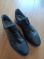 Bugatti Herrenschuhe Größe 44 Hessen - Bürstadt Vorschau