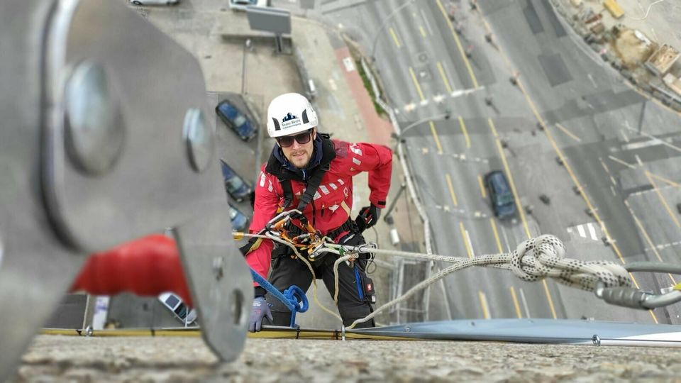 Reinigung von Fledermaus und Brutkästen in Hamburg