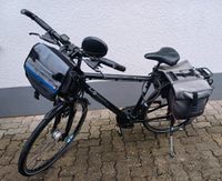 Herren Pegasus Fahrrad in Schwegenheim Rheinland-Pfalz - Klingenmünster Vorschau