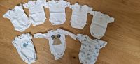 8x Bodys Größe 62 Kurzarm-Body Langarm-Body Body H&M C&A Babyclub Hessen - Maintal Vorschau