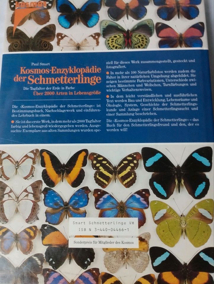 Schmetterlinge, Kosmos Enzyklopädie der Schmetterlinge, Tagfalter in Weißenburg in Bayern