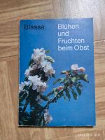 Blasse blühen und fruchten beim obst 1. Auflage 1976 VEB Sachsen - Bernsdorf Vorschau