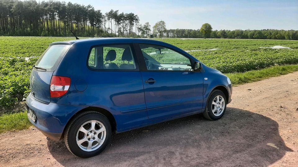 Volkswagen Fox in Wittingen