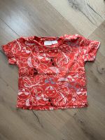 Zara Baby Shirt 86 Nordrhein-Westfalen - Gelsenkirchen Vorschau