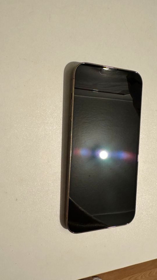 iPhone 13 Pro Max 1TB Gold in Bergkamen