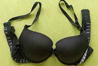 ELLE BH 80 C schwarz weiß Spitze dick wattiert TOP Niedersachsen - Bad Pyrmont Vorschau