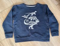 Sweatshirt 104/110 Dinosaurier Vertbaudet Nordrhein-Westfalen - Haan Vorschau