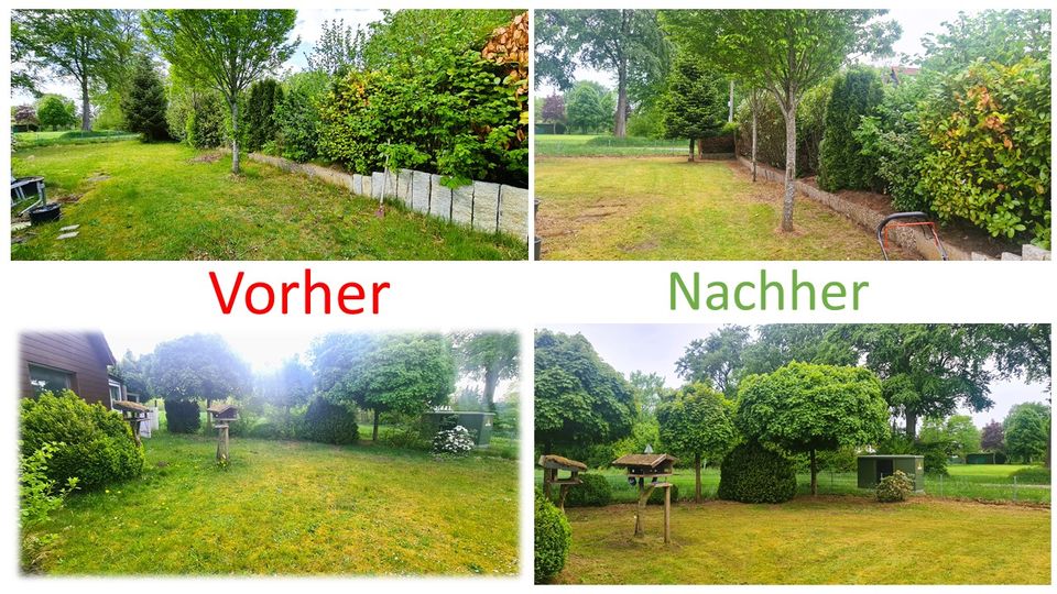 Gartenarbeit / Gartenpflege / Heckeschneiden in Kiel