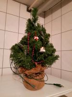 Miniweihnachtsbaum Bayern - Neustadt a.d.Donau Vorschau