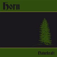 Suche Black Metal CDs / LPs ( Camulos, Horn, wolfsmond, Mavorim ) Rheinland-Pfalz - Unkenbach Vorschau