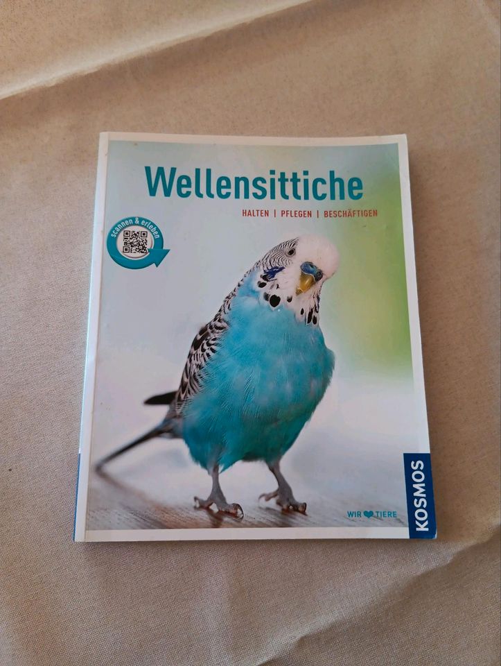 Wellensittiche Haltung Pflege Vögel Haustiere in Tiefenbach Kr Passau