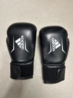 Boxhandschuhe Hessen - Idstein Vorschau