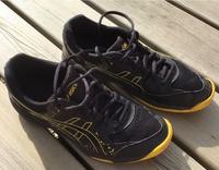 Asics Flare 7 Saarland - Rehlingen-Siersburg Vorschau