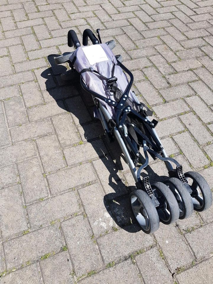 Reisebuggy Alfa von Caretero in Striegistal