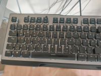 Roccat Vulkan 120 AIMO Niedersachsen - Cloppenburg Vorschau