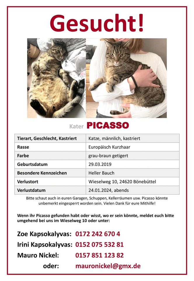 Kater vermisst seit 24.01. EKH Katze entlaufen in Neumünster