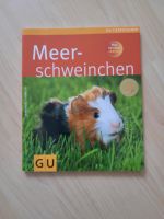 Meerschweinchen GU Tierratgeber Nordrhein-Westfalen - Sassenberg Vorschau