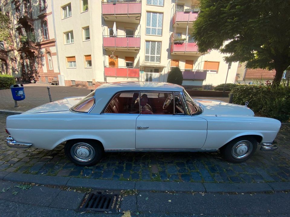 Mercedes-Benz 250 SE W111 Coupé in Frankfurt am Main