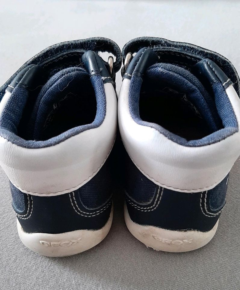 Geox Jungen Schuhe Gr. 21 in Grevenbroich