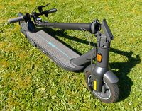 Segway Ninebot MAX G30D eScooter eRoller 780 km Schleswig-Holstein - Glinde Vorschau