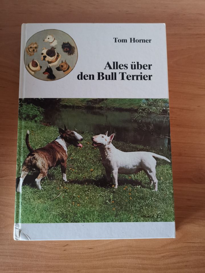 Buch Alles über den Bull Terrier Tom Horner Bullterrier in Diemelsee