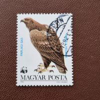 Ungarn Kaiseradler Raubvogel Ornithologie #1660 Niedersachsen - Aurich Vorschau