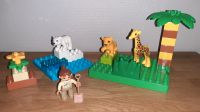 Lego Duplo Zoo Babys mit Bauplatten Niedersachsen - Berge Vorschau