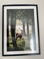 Poster Bilder Natur Landschaft Nordrhein-Westfalen - Paderborn Vorschau